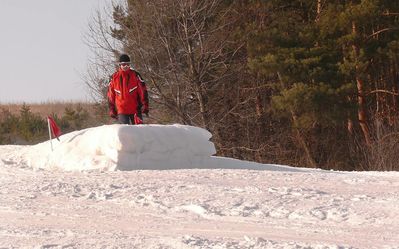 Čechy vlek 2012 