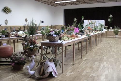 Výstava zeleniny a historických predmetov 2014