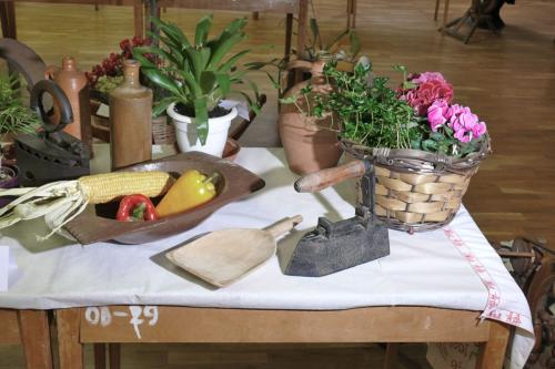 Výstava zeleniny a historických predmetov 2014