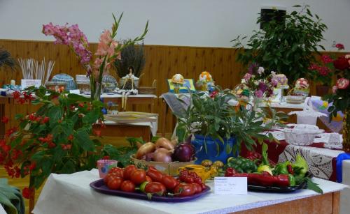 Výstava ovocia,zeleniny a ručných prác 2016