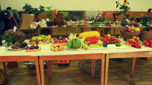 &quot; Výstava ovocia , zeleniny, kvetov spojená s výstavou retro - predmetov zo 60-tich, 70-tich a 80-tich rokov 20. storočia&quot;