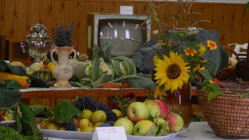 &quot; Výstava ovocia , zeleniny, kvetov spojená s výstavou retro - predmetov zo 60-tich, 70-tich a 80-tich rokov 20. storočia&quot;