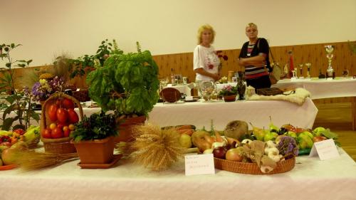 Výstava ovocia zeleniny, kvetov, suvenírov, športových trofejí, spojená s výstavou historických šijacích strojov a folklórom inšpirovaných odevov.