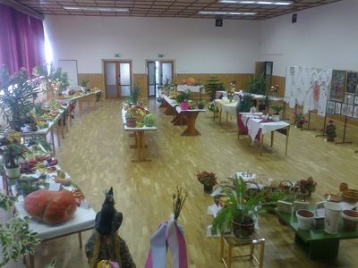 Výstava ovocia, zeleniny, kvetov a ručných prác 